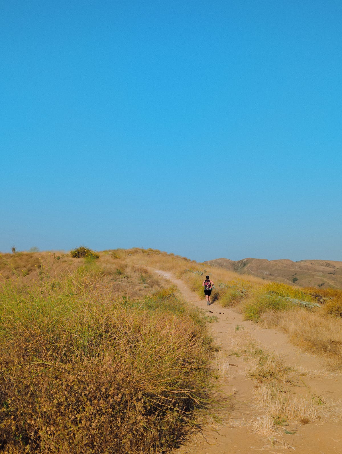 Experiment 6:26pm - Year One