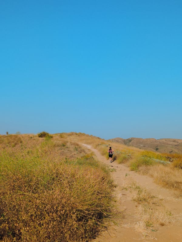 Experiment 6:26pm - Year One