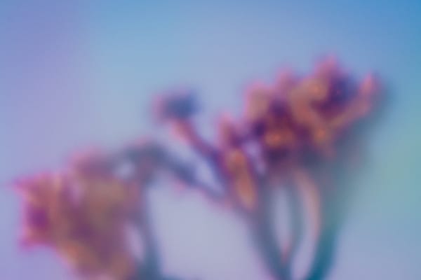 Between Word and Meaning, Part III