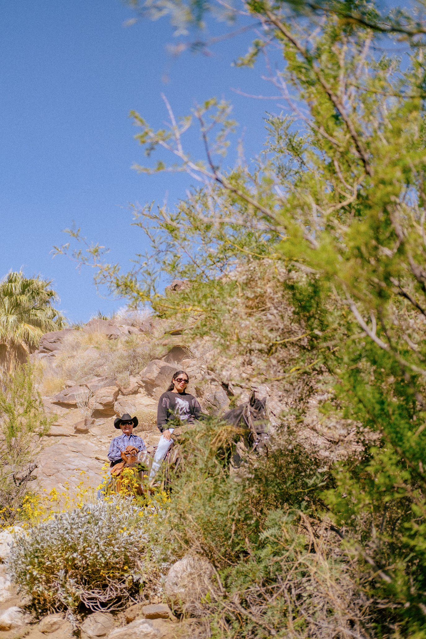 "Hike?! For Your Birthday?"