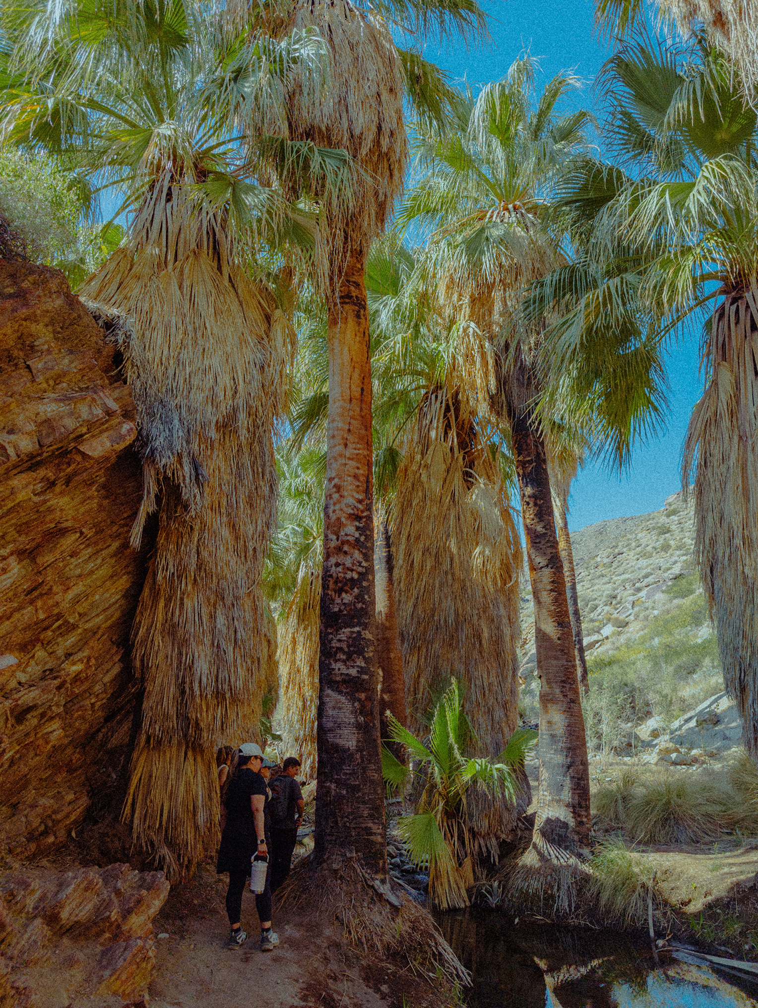 "Hike?! For Your Birthday?"