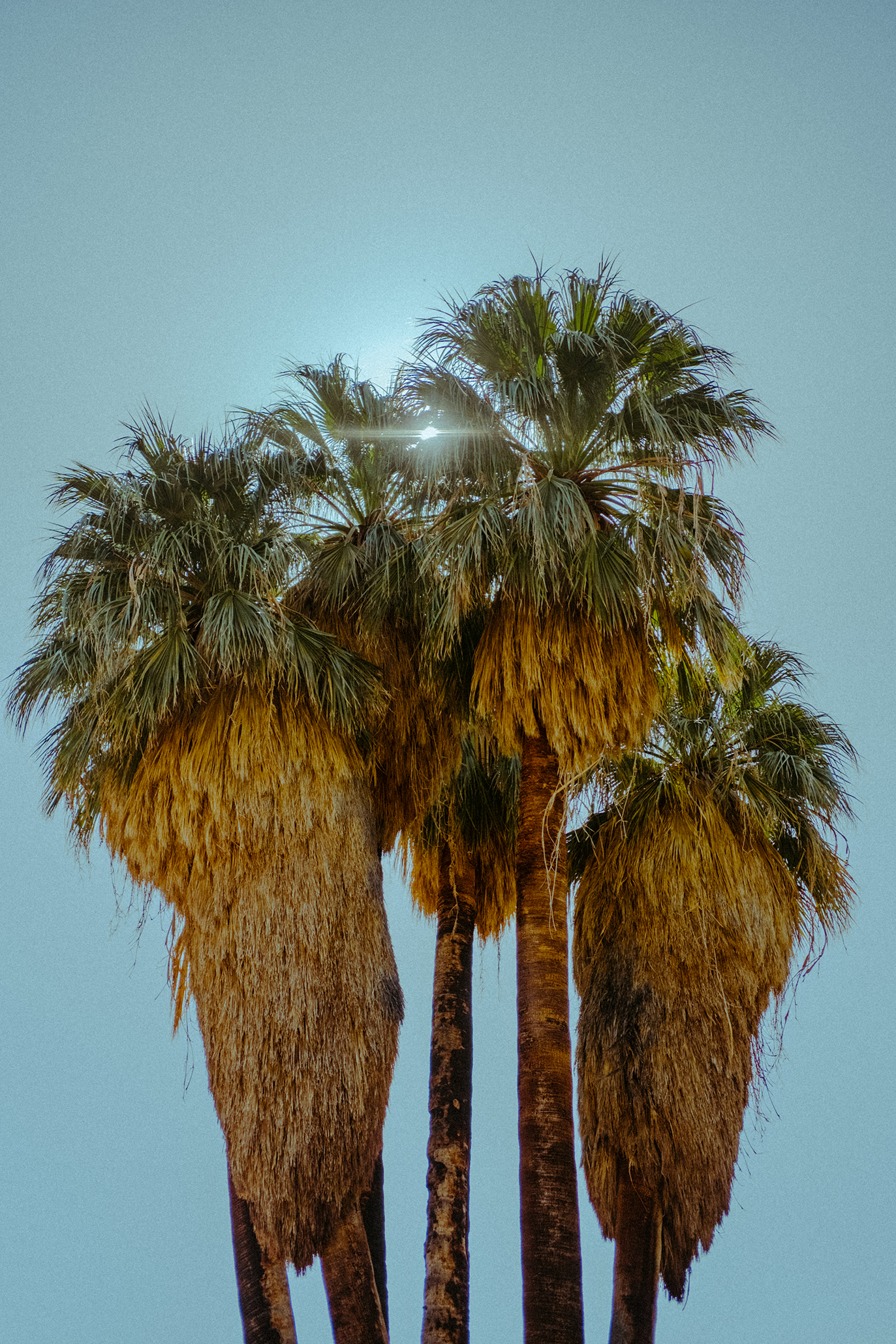 "Hike?! For Your Birthday?"