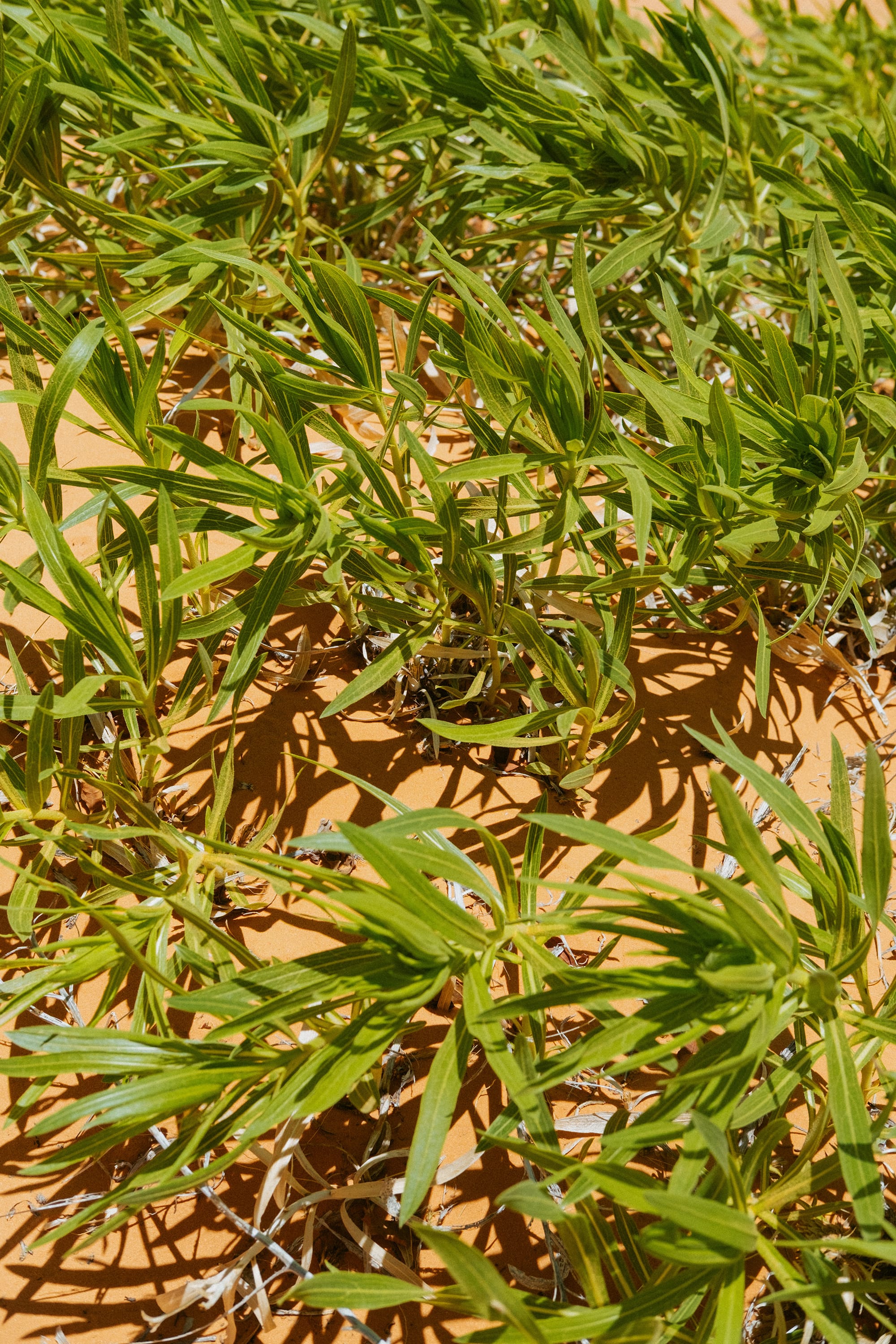 Zion National Park, Day 01