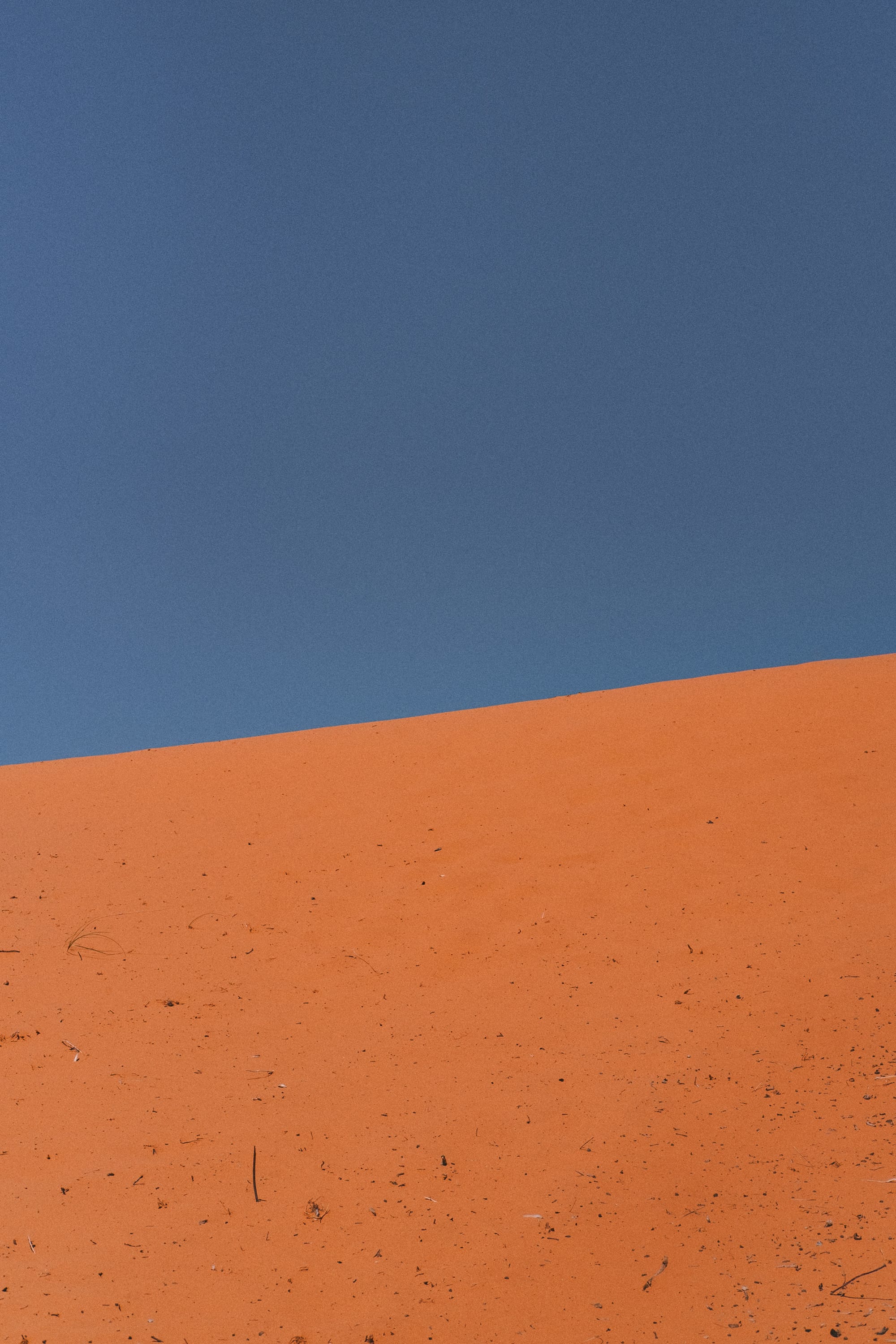 Zion National Park, Day 01