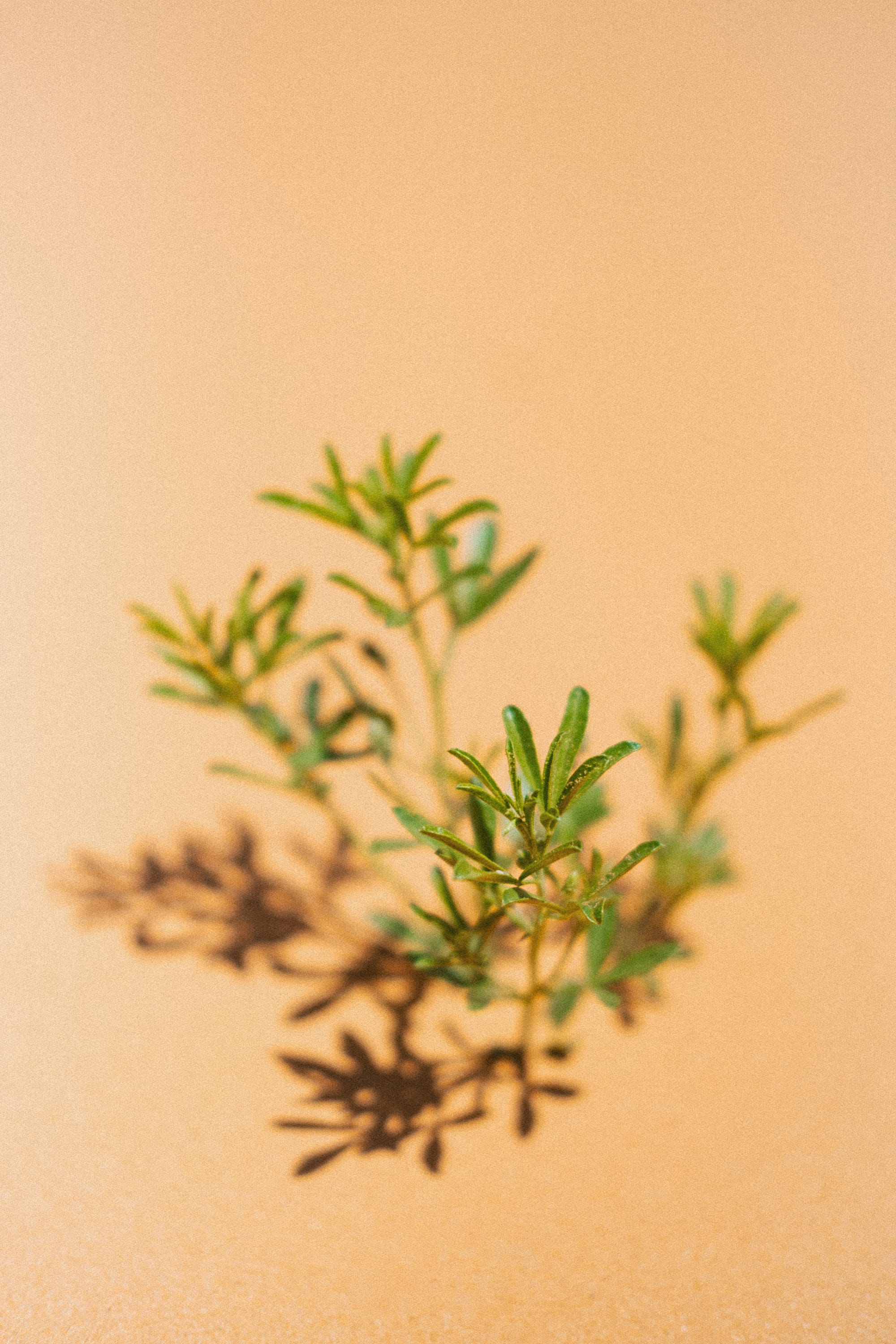 Zion National Park, Day 01