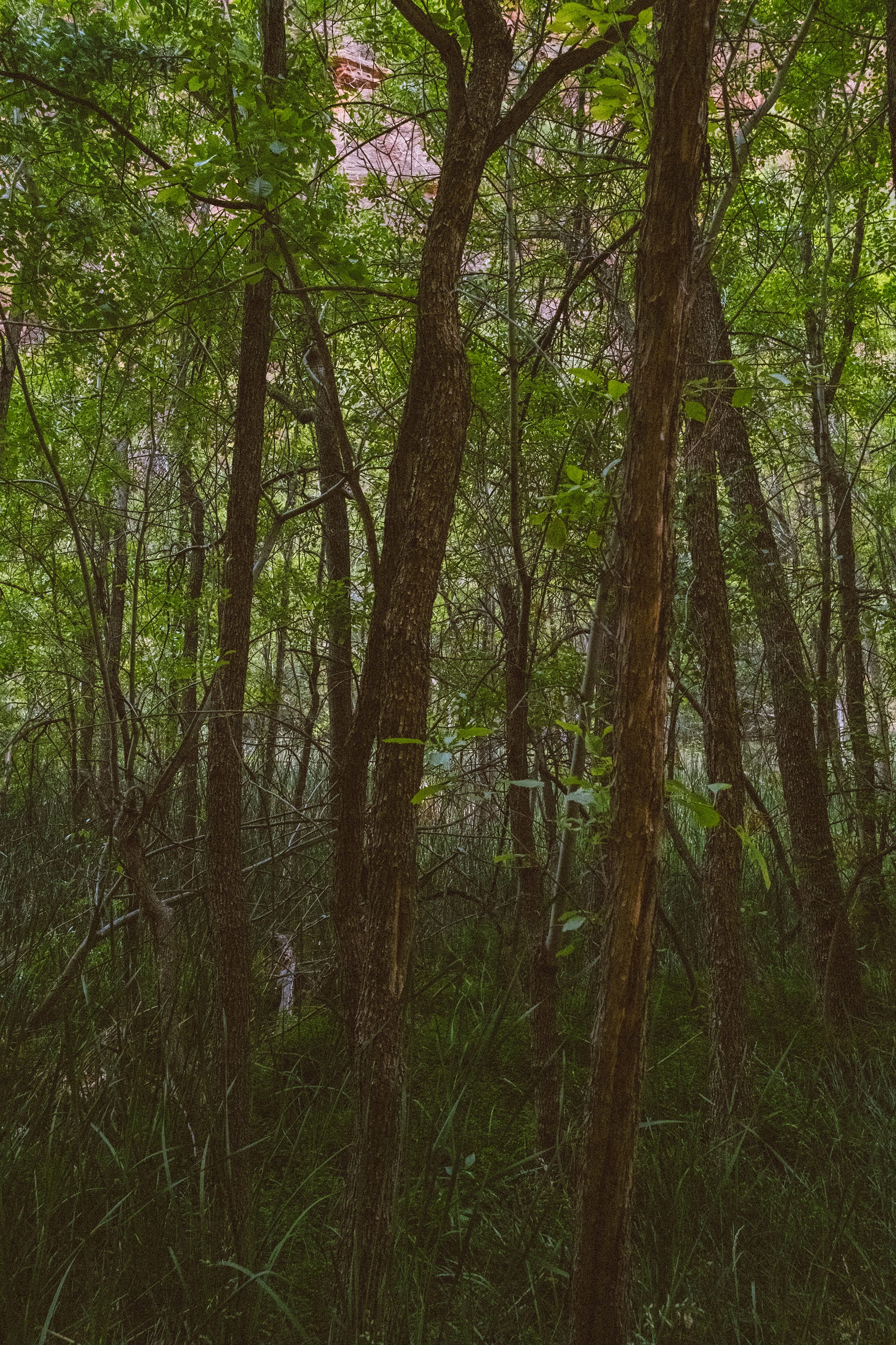 Zion National Park, Day 2