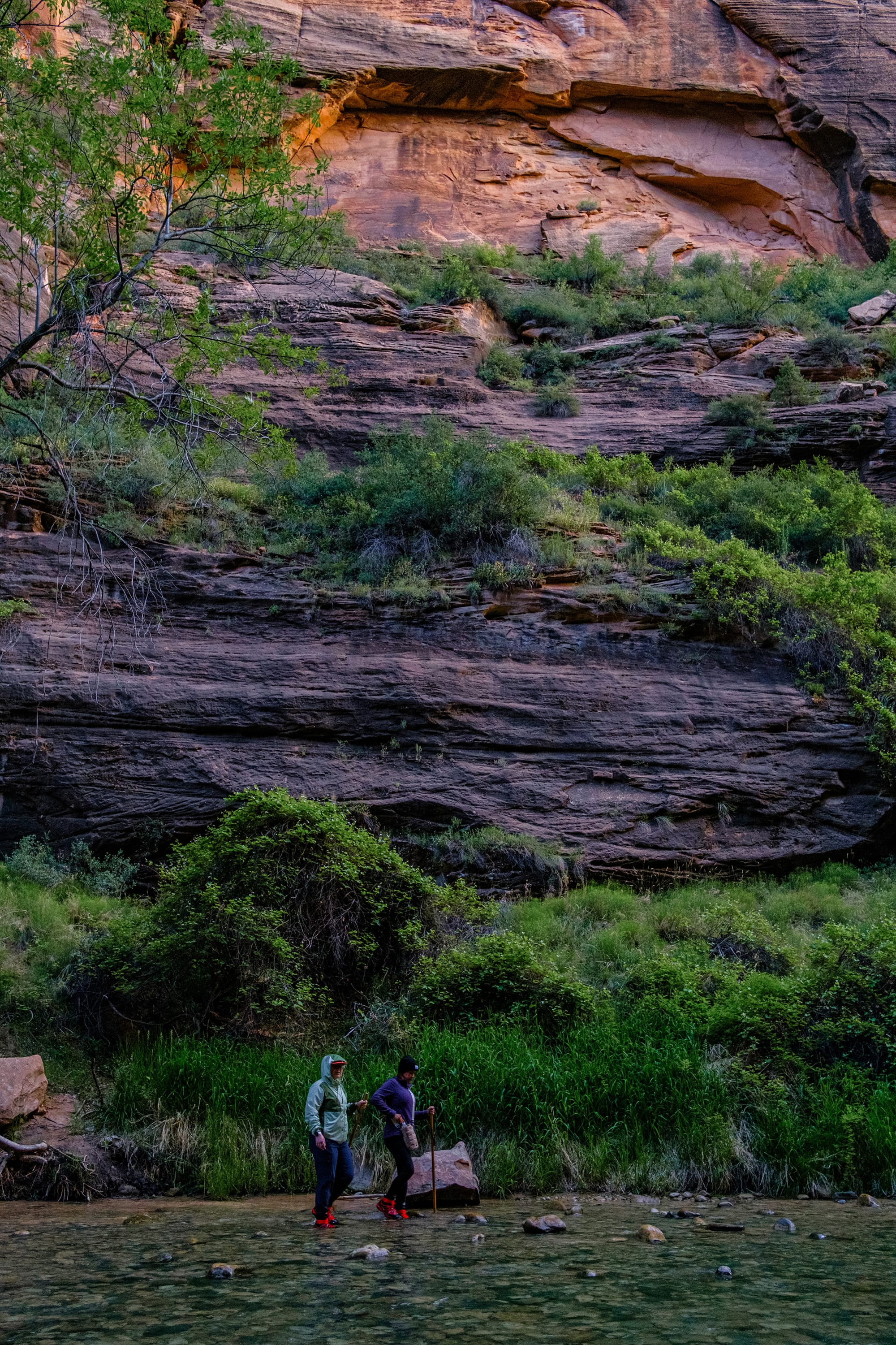 Zion National Park, Day 2