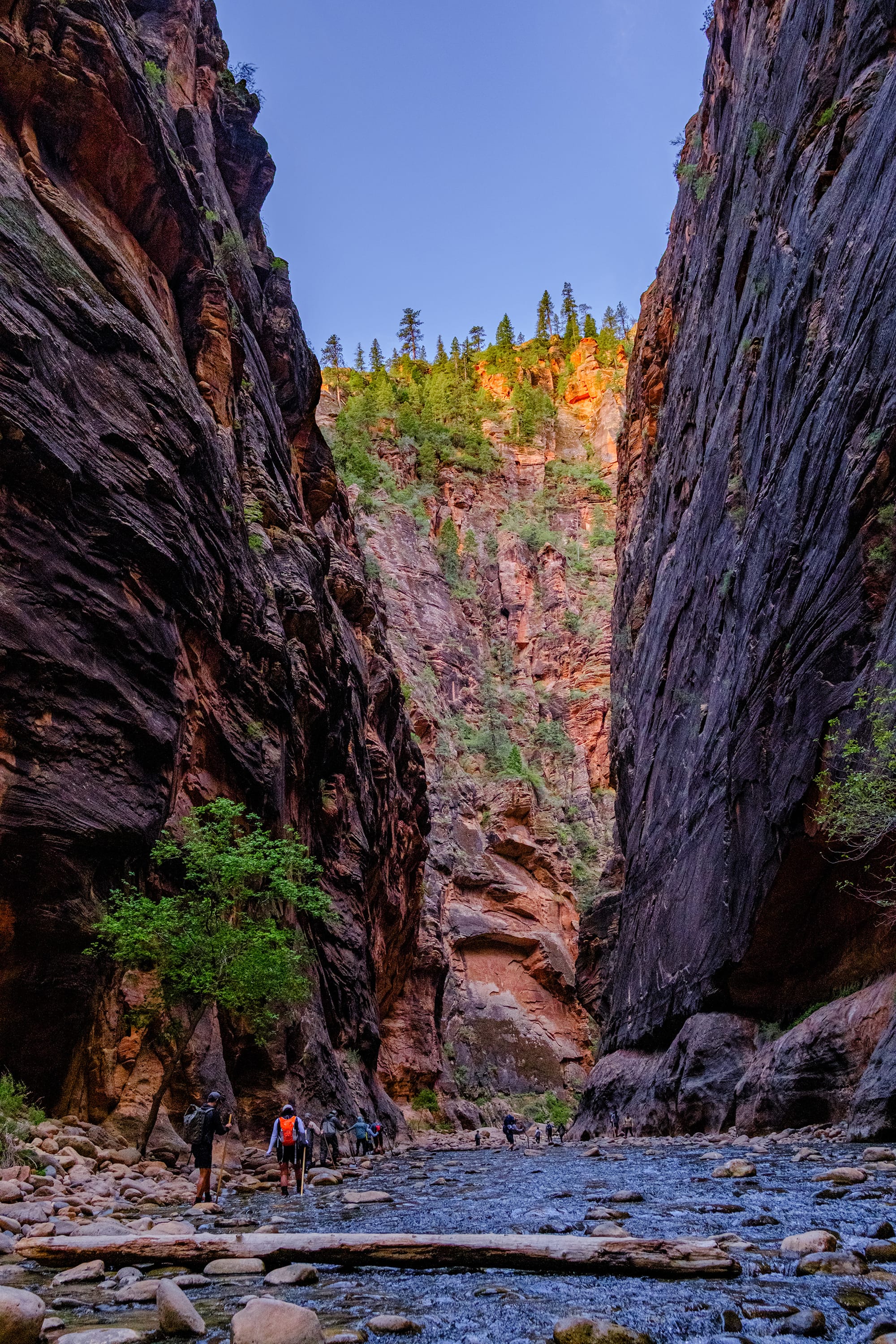 Zion National Park, Day 2