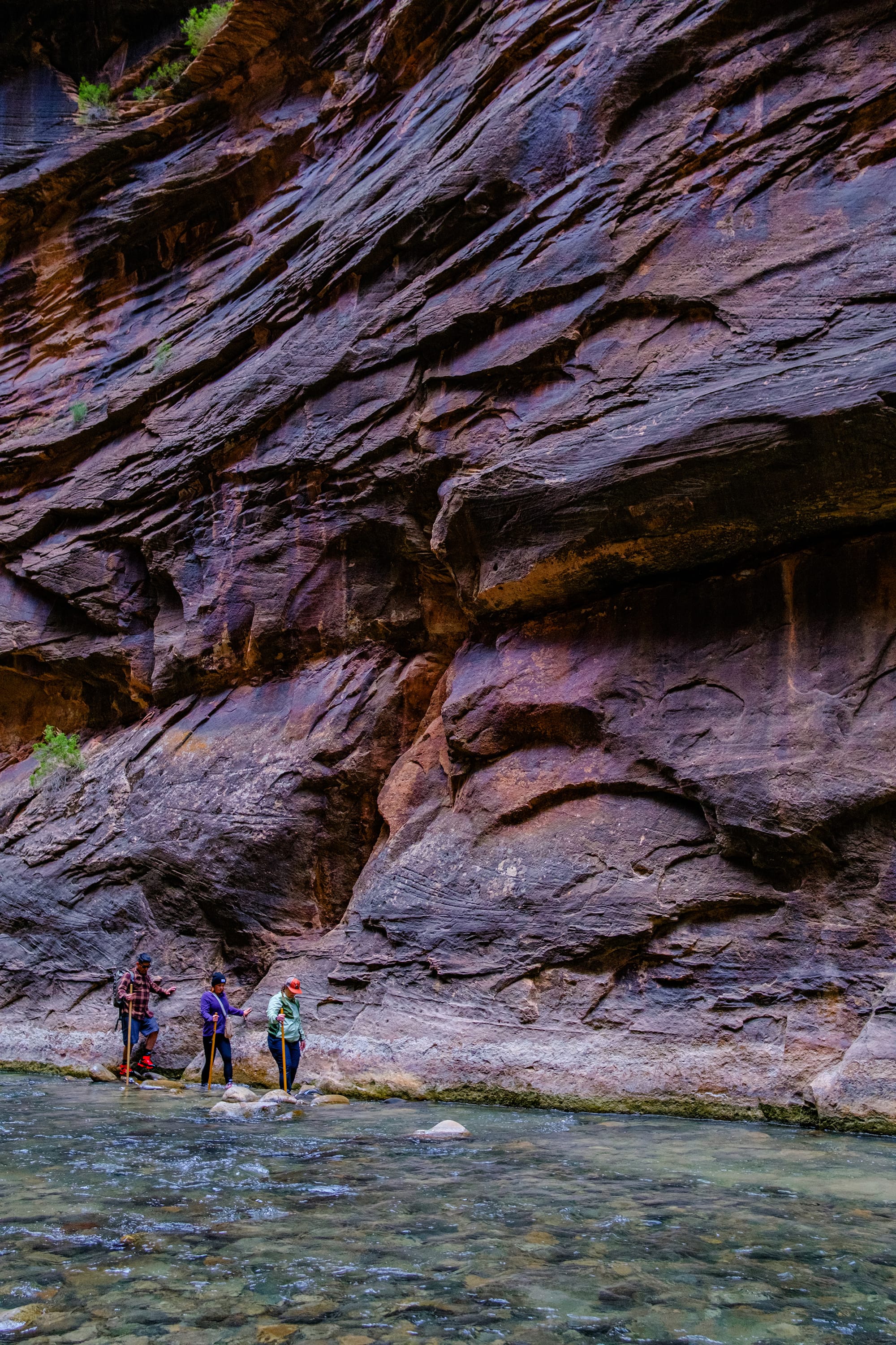 Zion National Park, Day 2