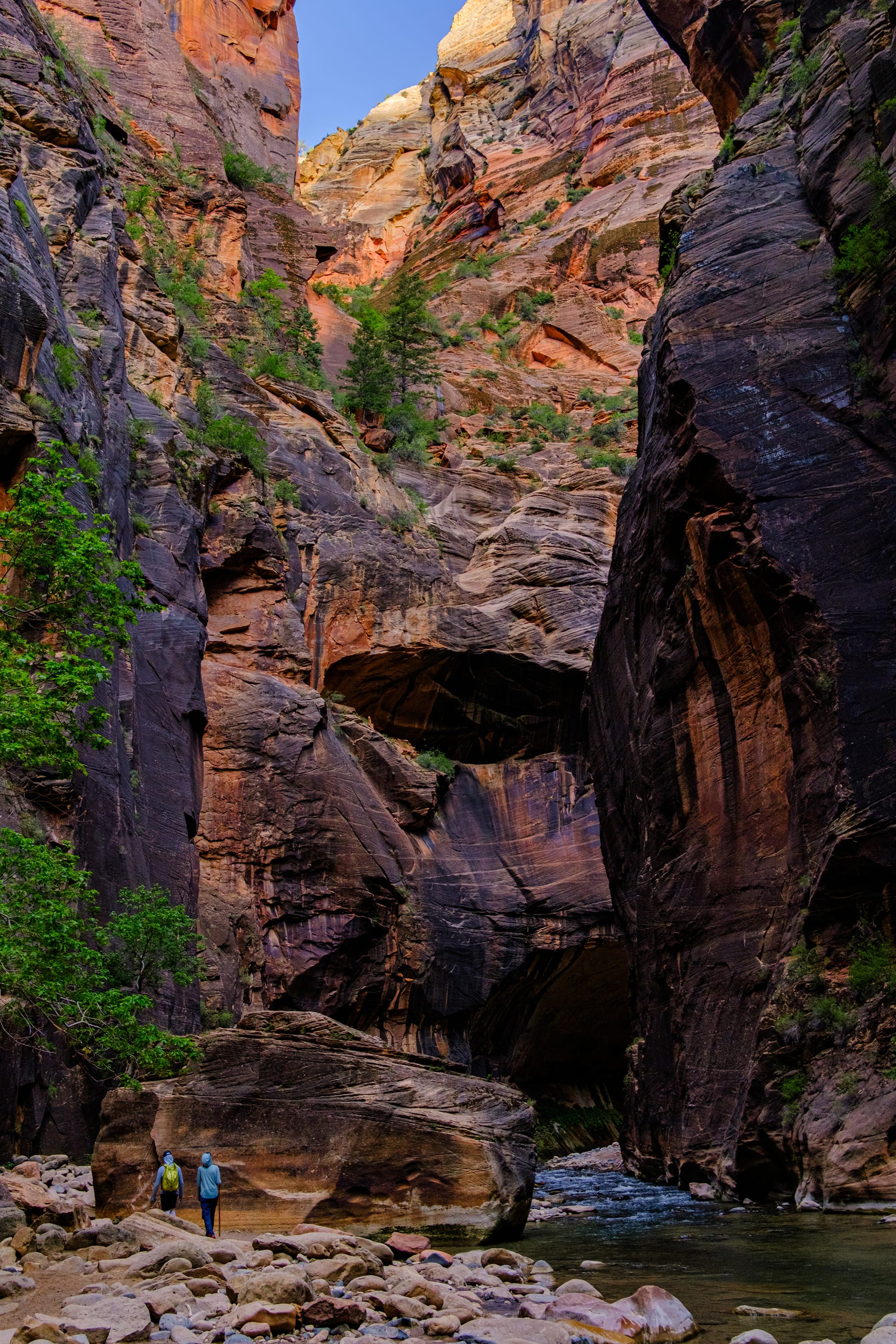 Zion National Park, Day 2