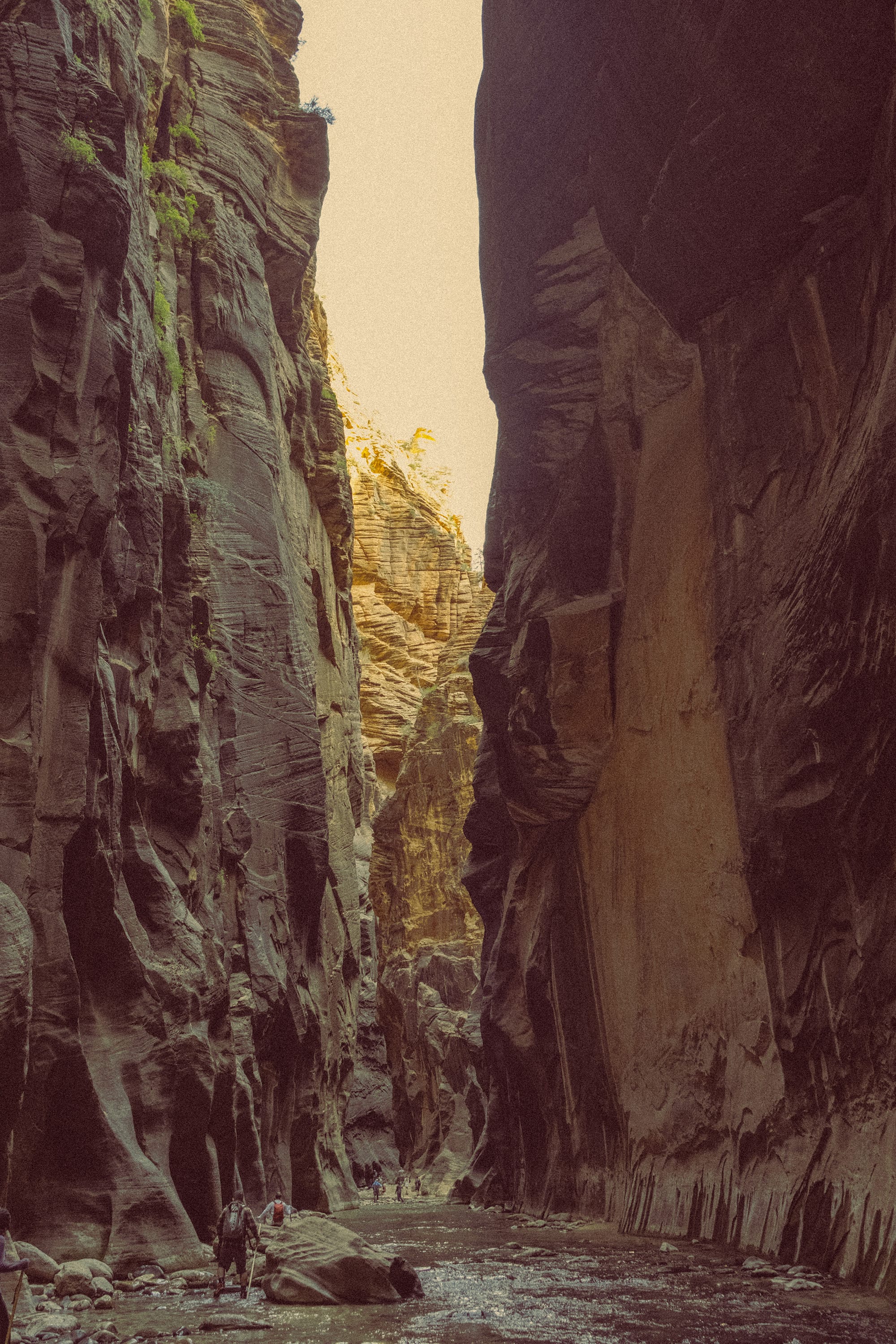 Zion National Park, Day 2