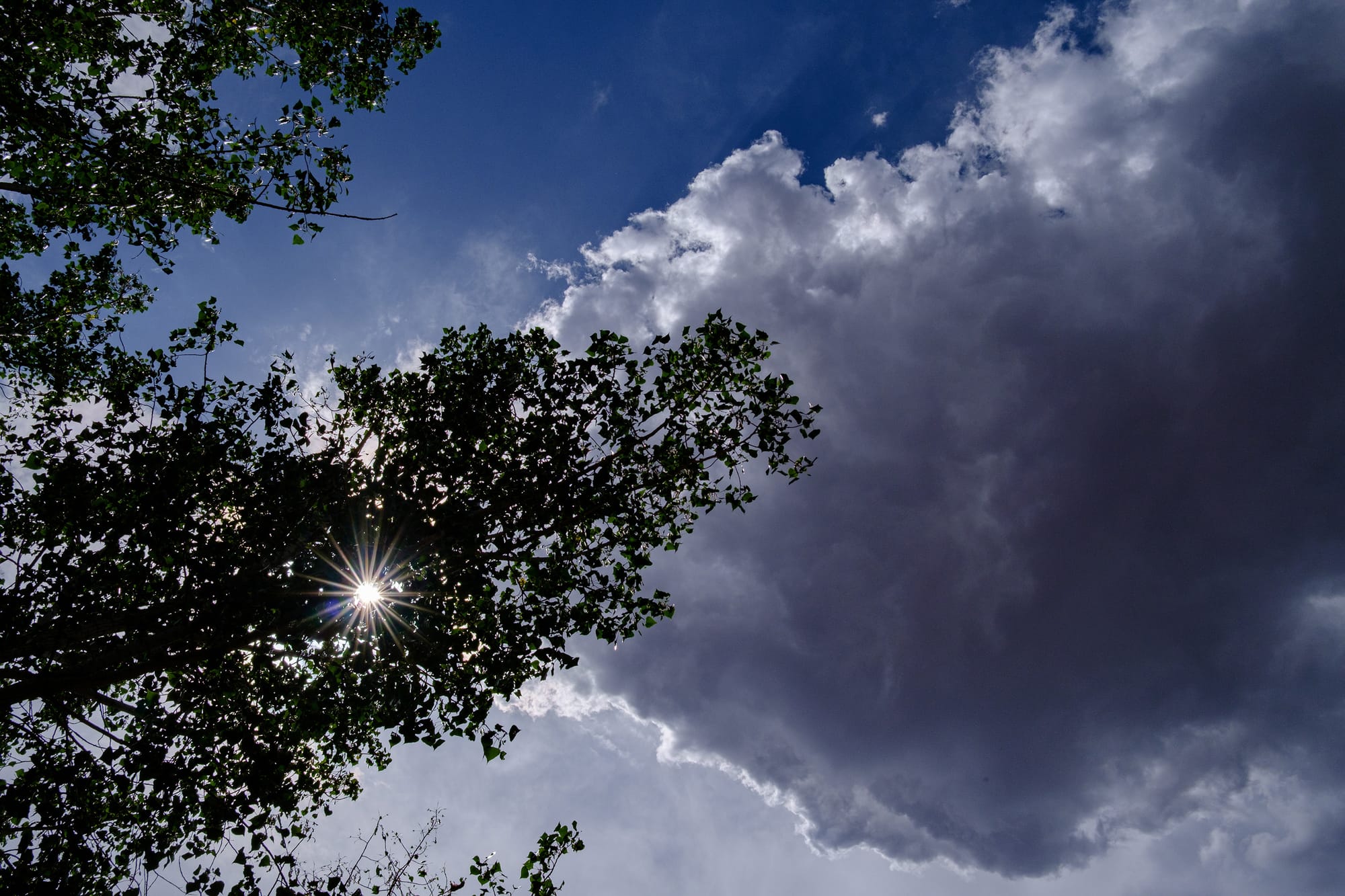 Zion National Park, Day 2