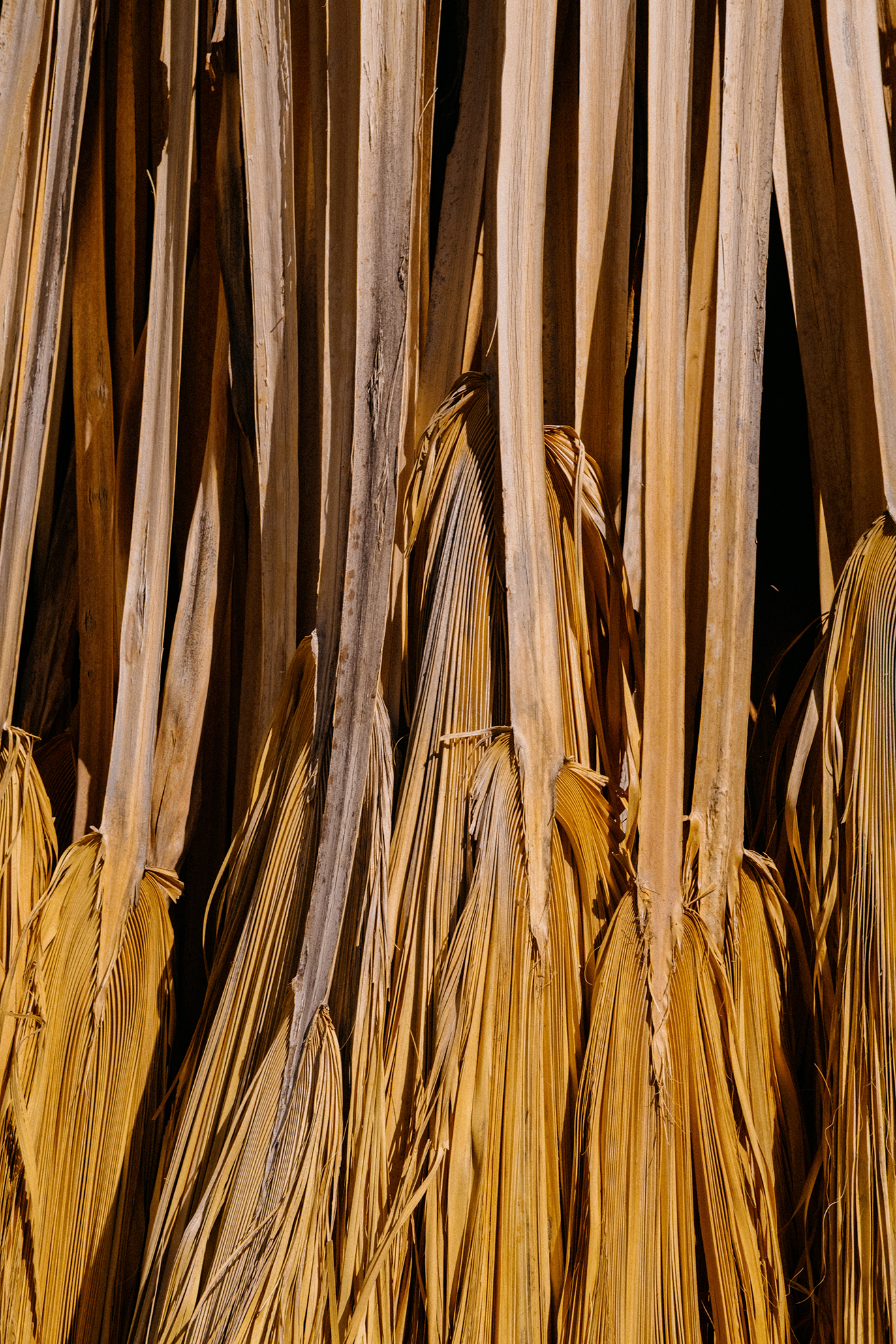 "Hike?! For Your Birthday?"