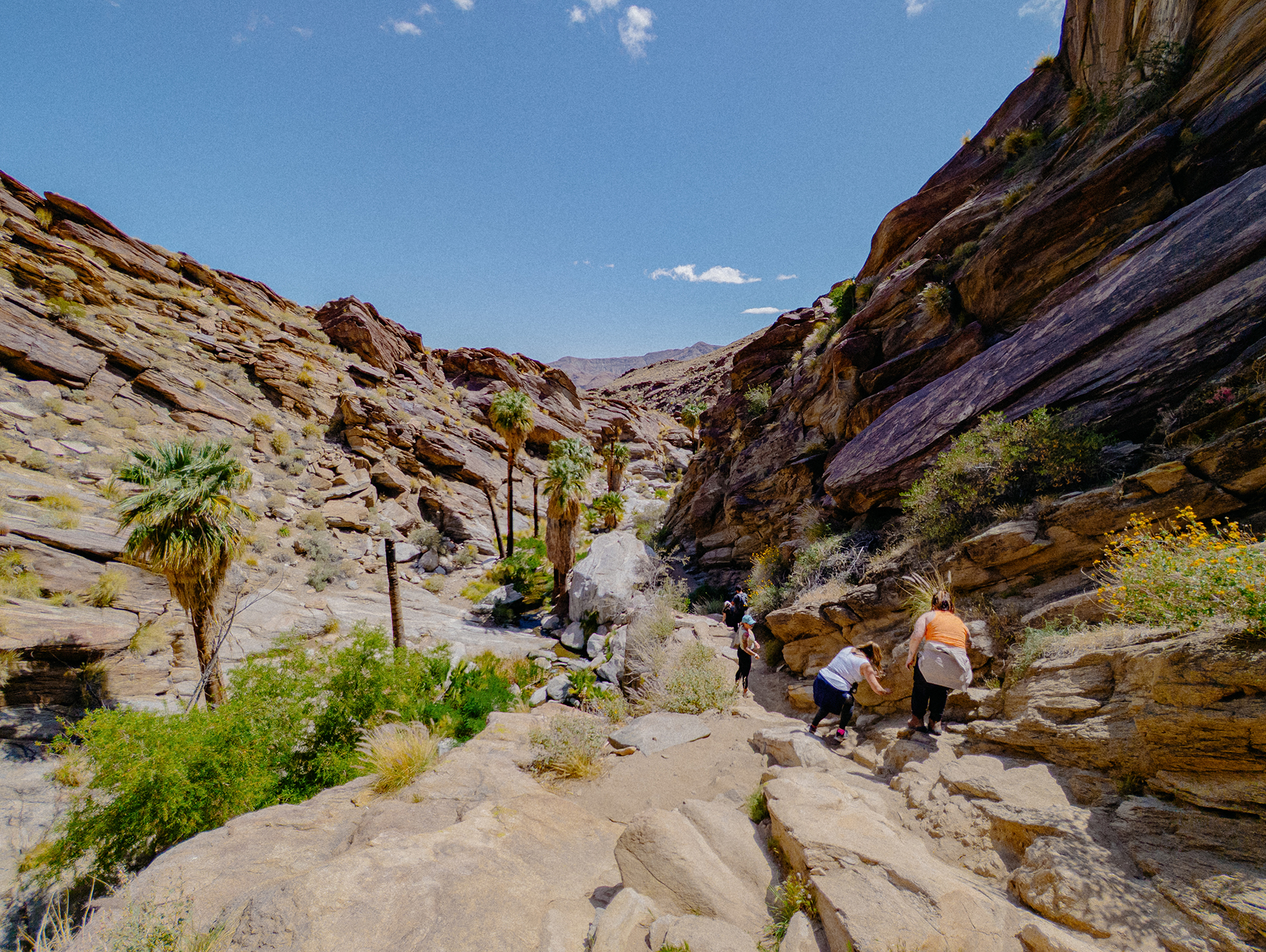 "Hike?! For Your Birthday?"