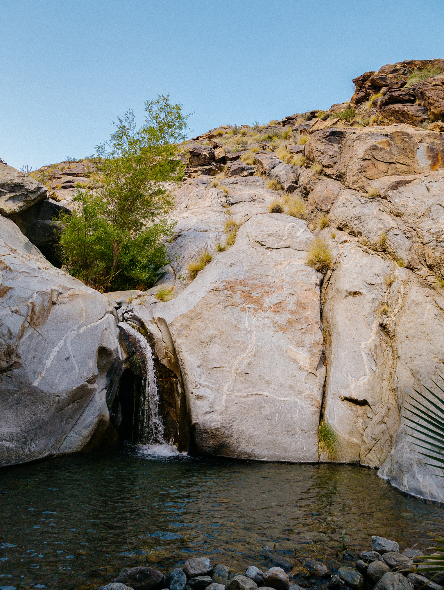 "Hike?! For Your Birthday?"