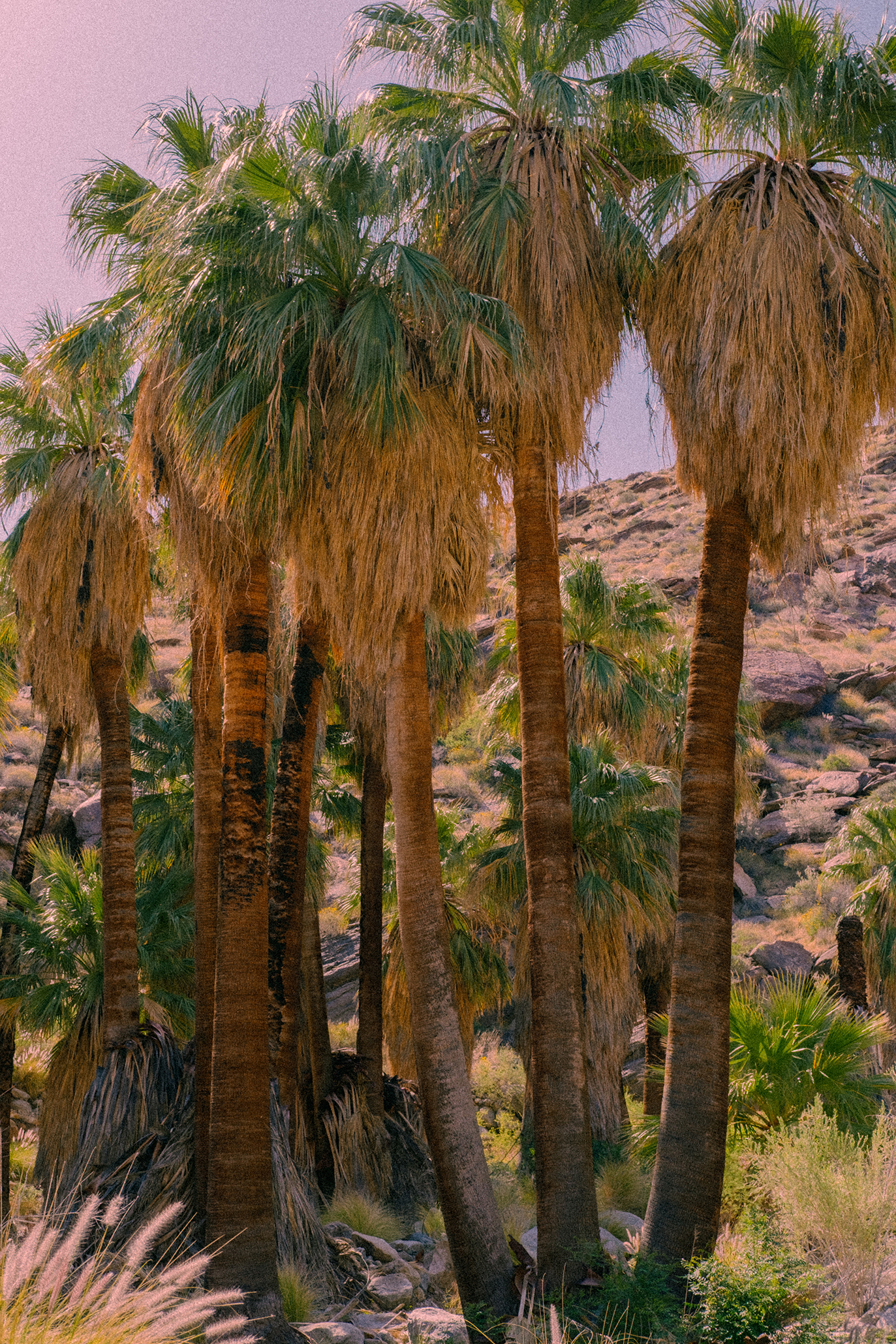 "Hike?! For Your Birthday?"