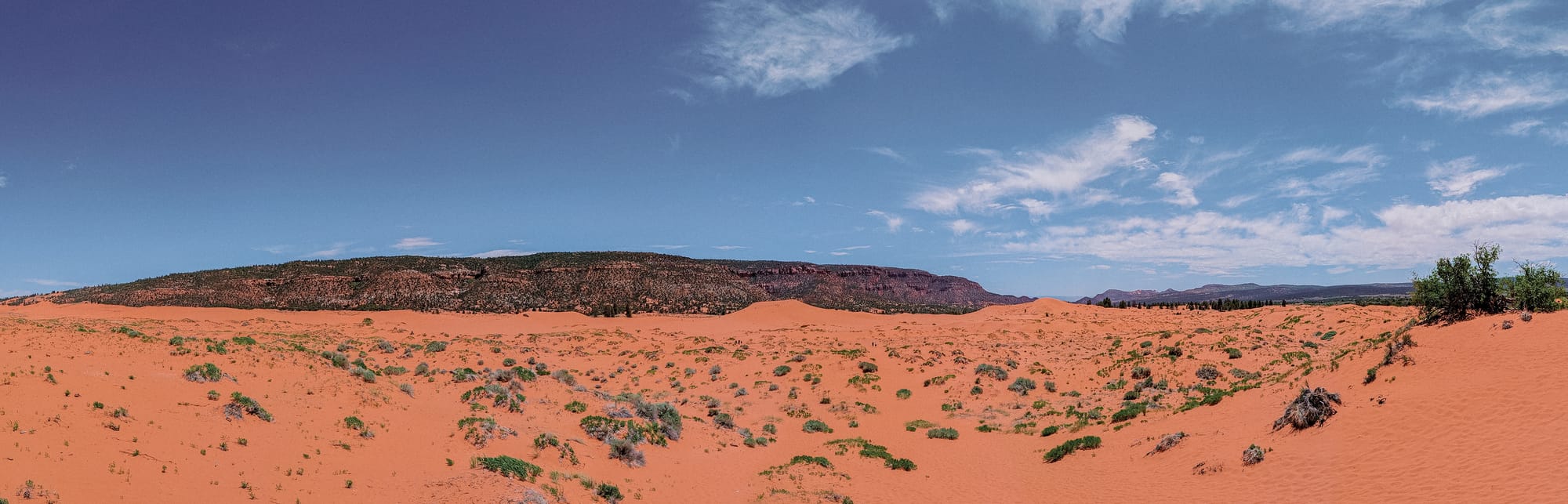 Zion National Park, Day 01