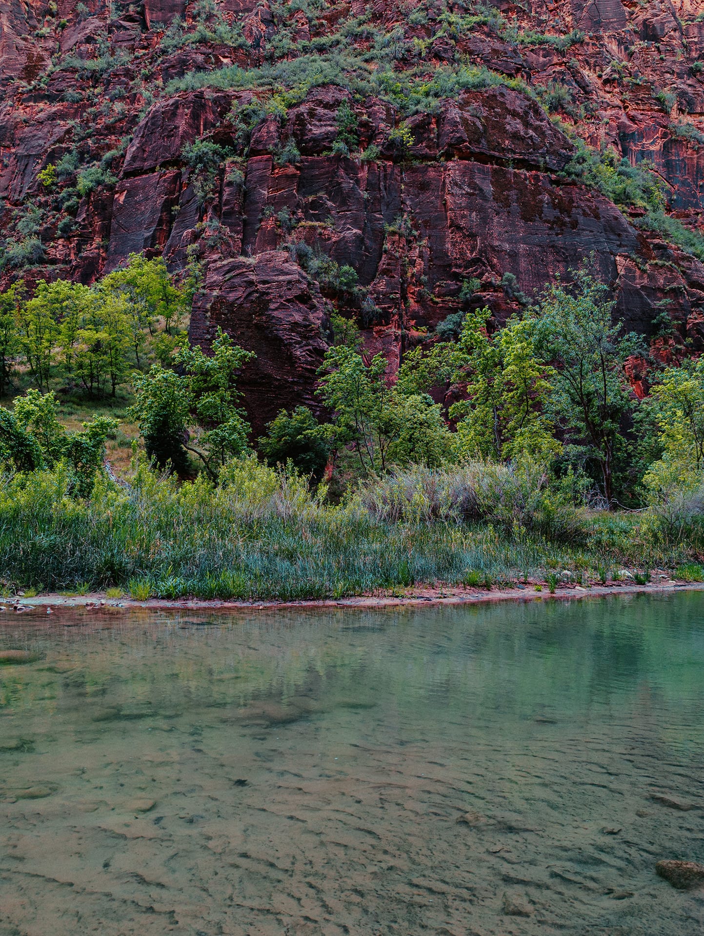 Zion National Park, Day 2