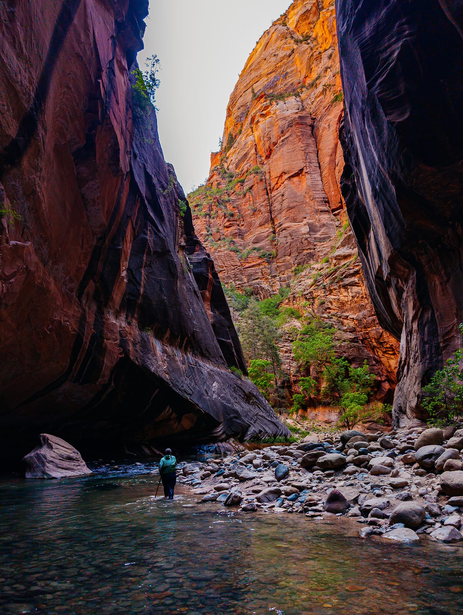 Zion National Park, Day 2