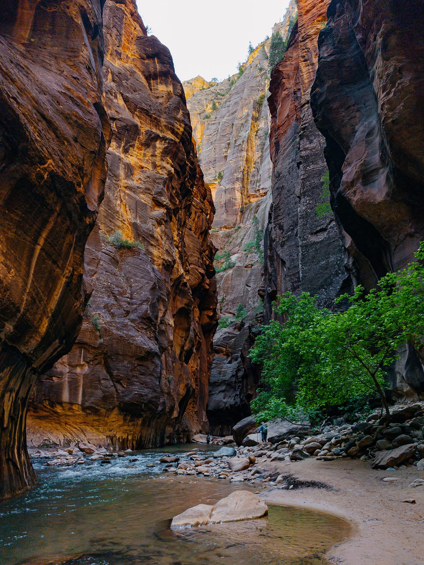 Zion National Park, Day 2