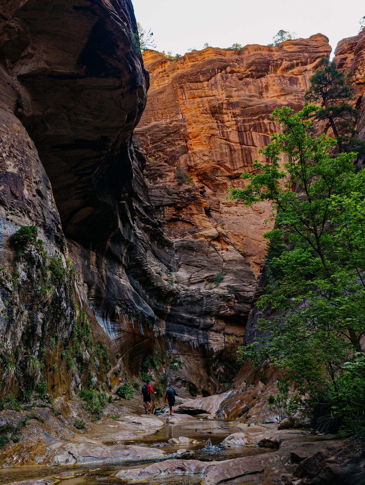 Zion National Park, Day 2