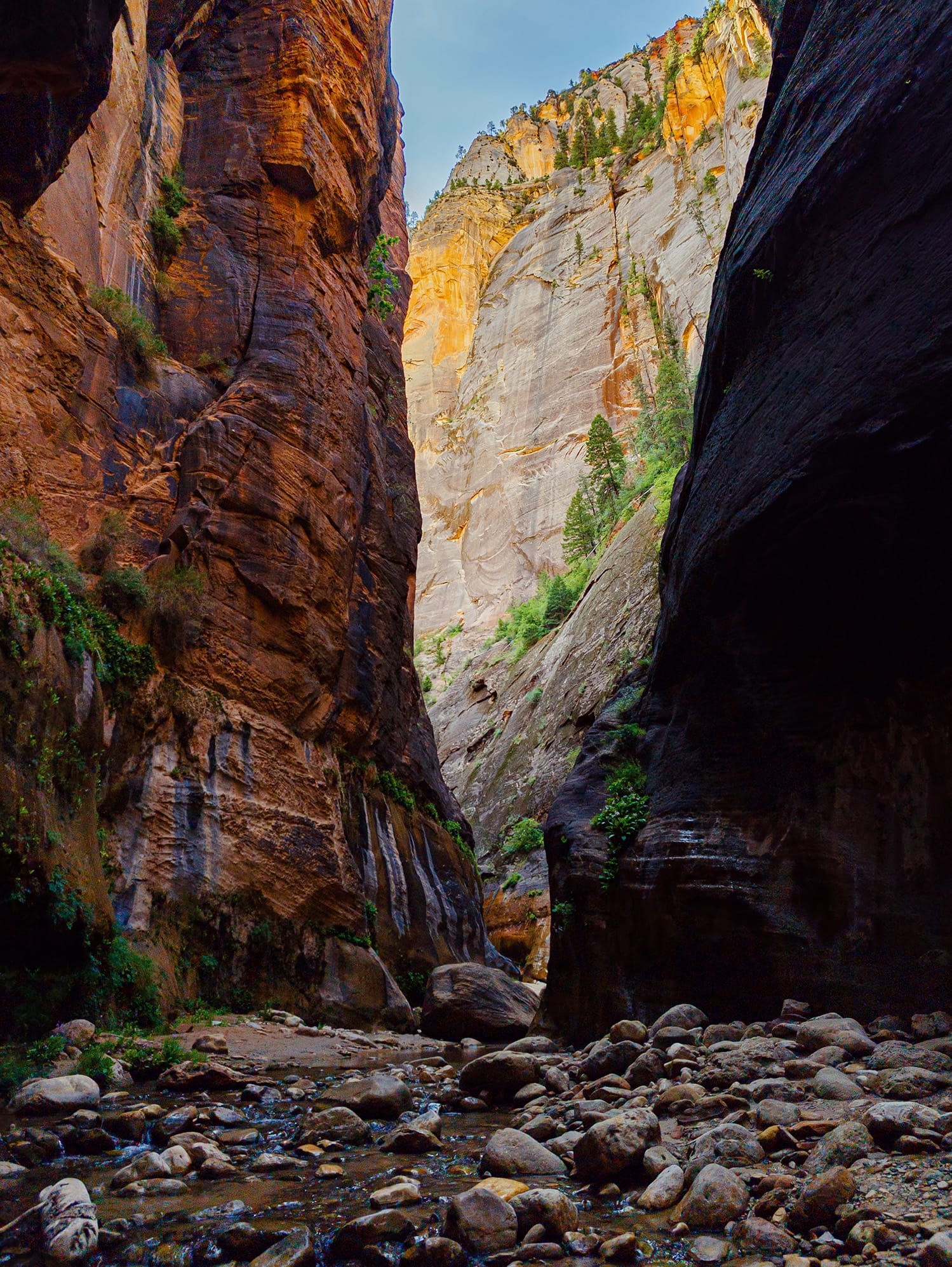 Zion National Park, Day 2