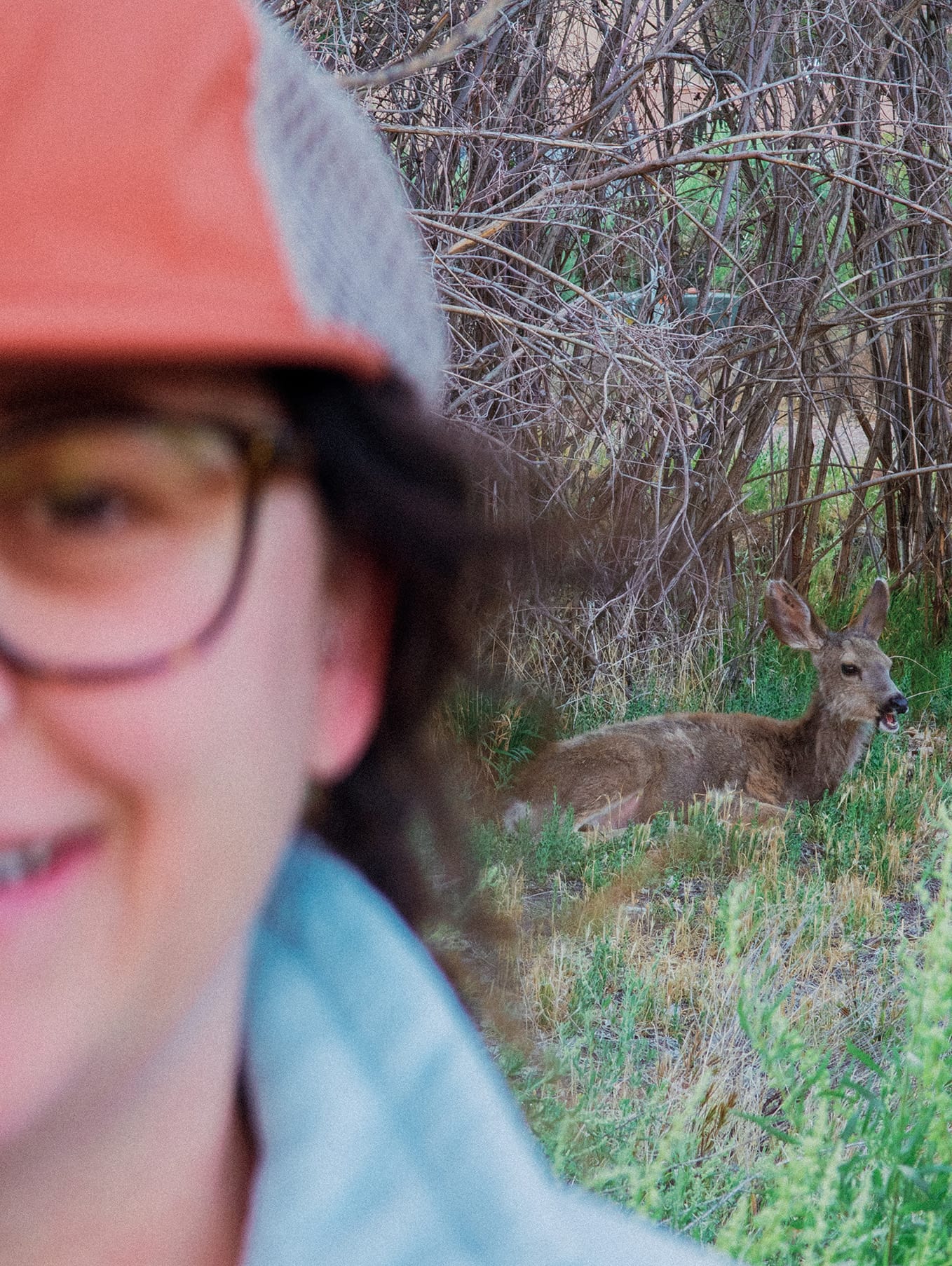 Zion National Park, Day 2