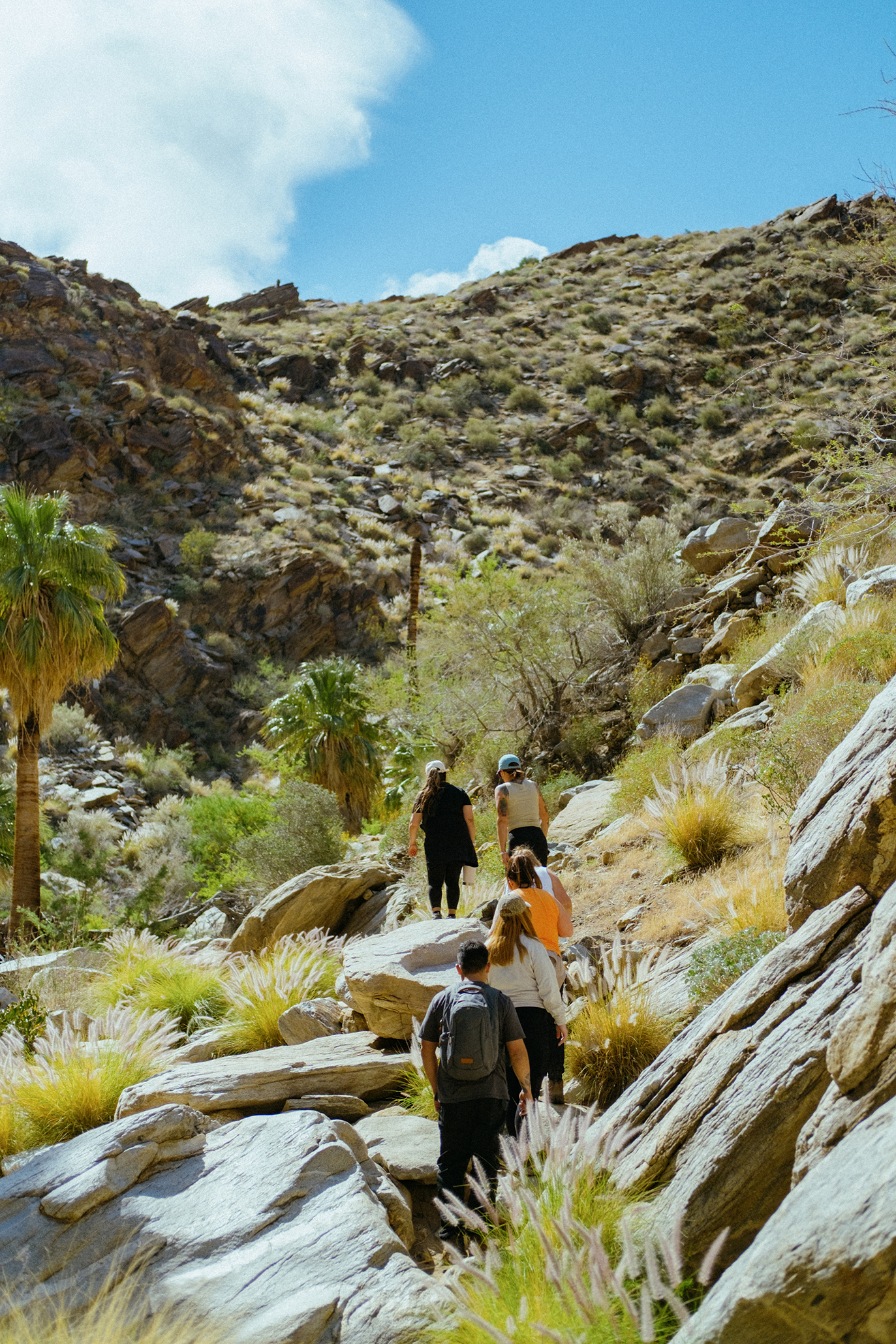 "Hike?! For Your Birthday?"