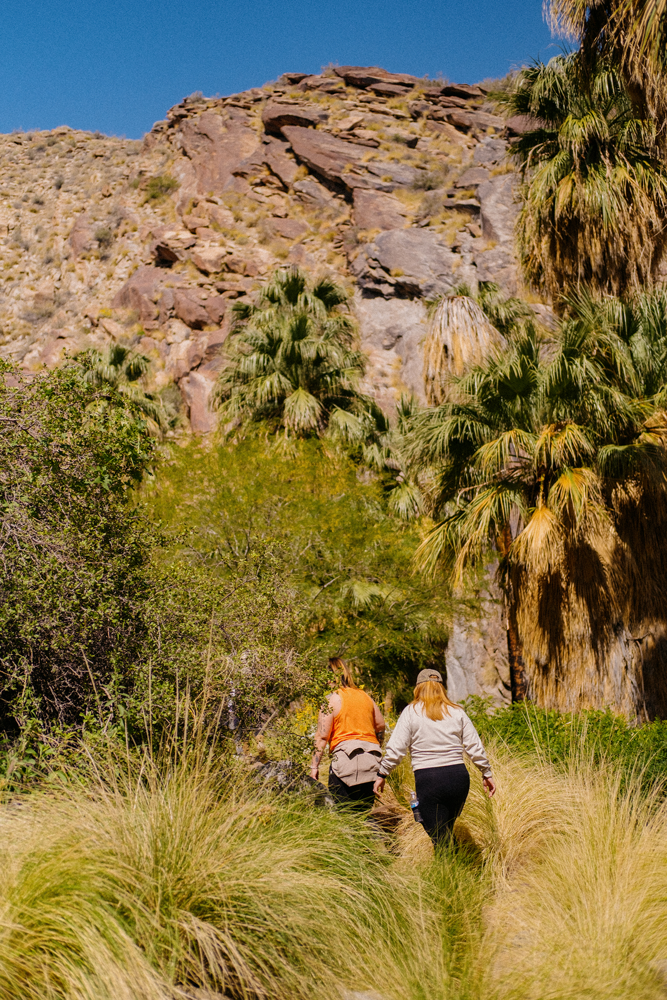 "Hike?! For Your Birthday?"