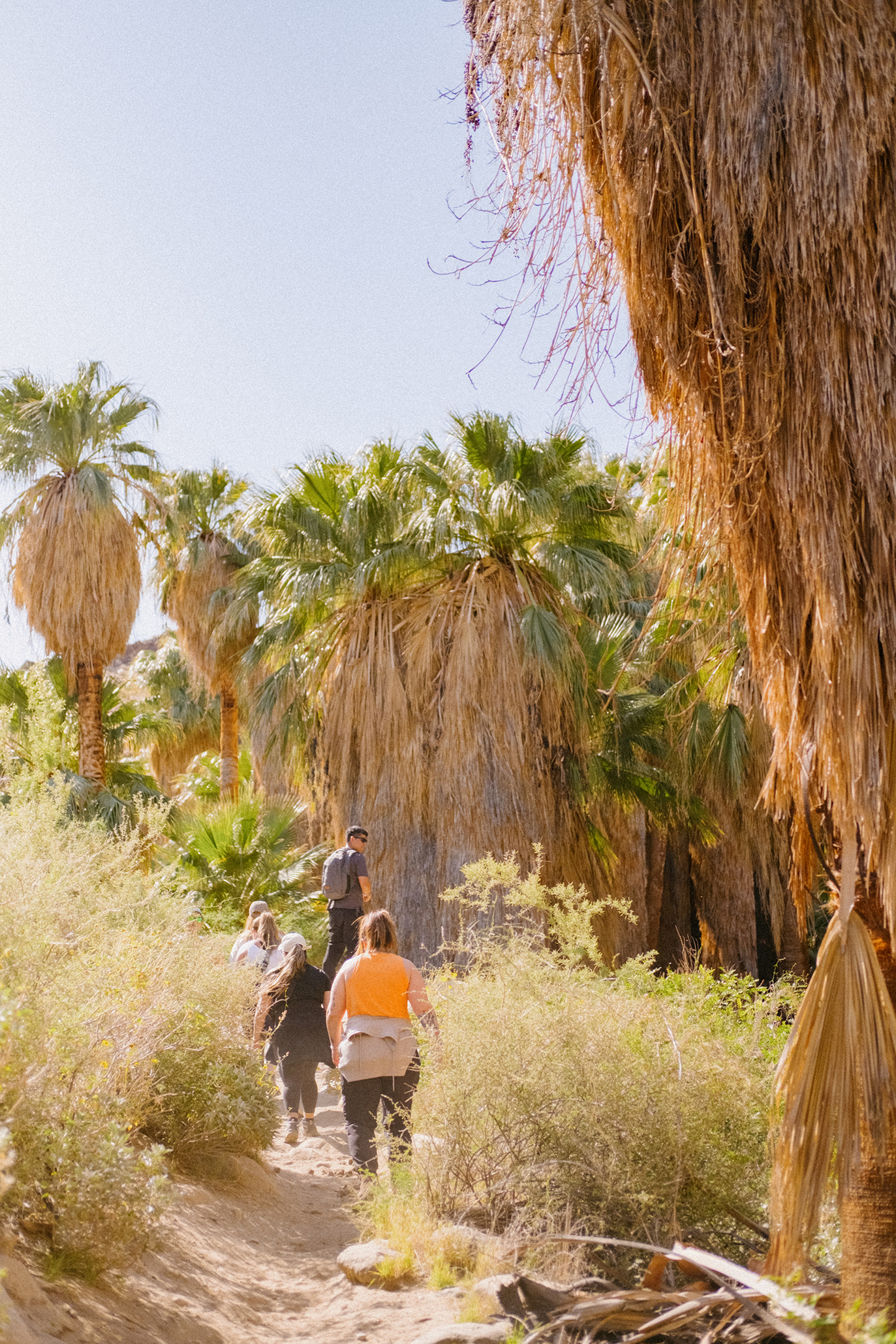 "Hike?! For Your Birthday?"